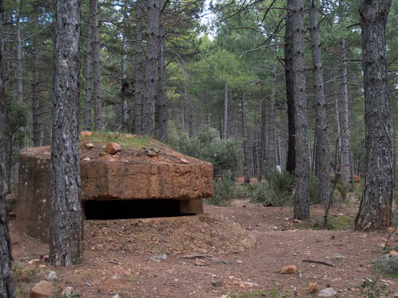 Frente del Agua bunker en el interior del pinar